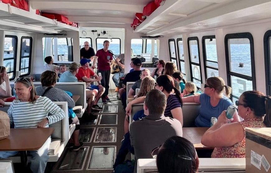 Solar-Powered Harbour Morning Cruise