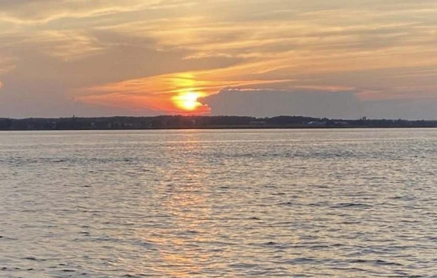 Solar-Powered Harbour Afternoon Cruise Experience