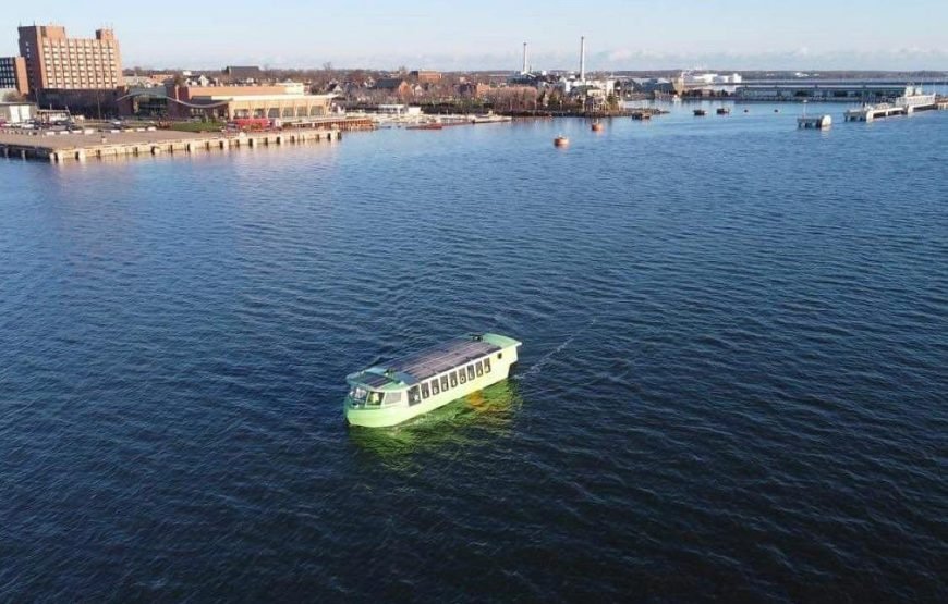 Solar-Powered Harbour Afternoon Cruise Experience