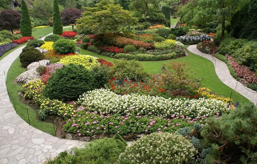 Luxury Private Vancouver to Victoria Tour