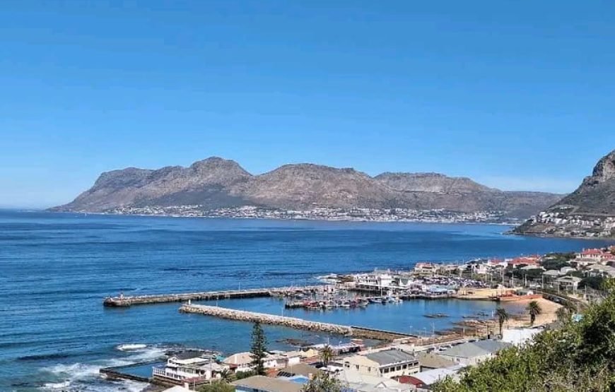 Coastline Seafood Tour – Cape Town