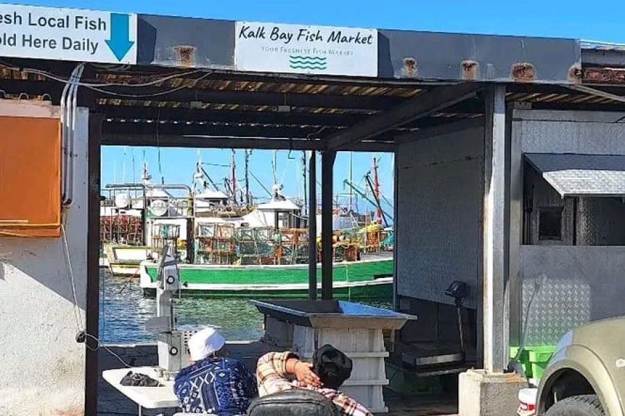 Coastline Seafood Tour – Cape Town