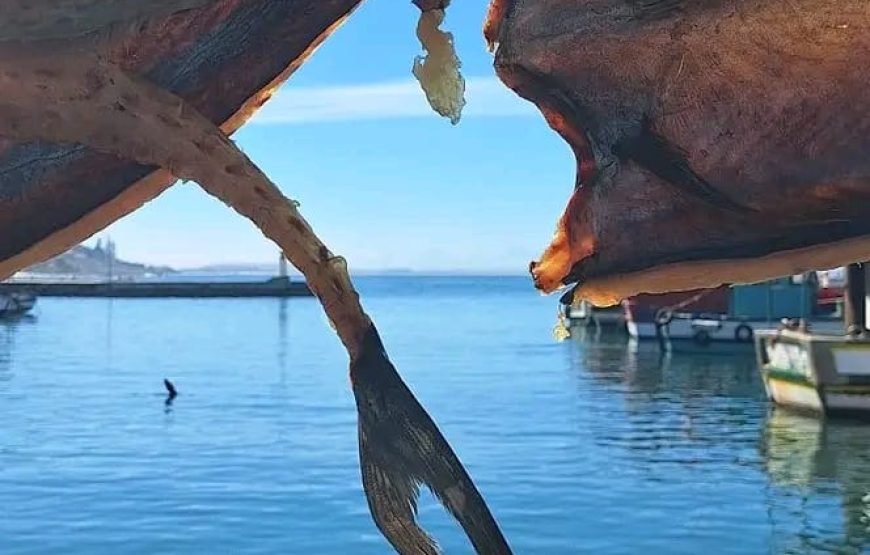 Coastline Seafood Tour – Cape Town