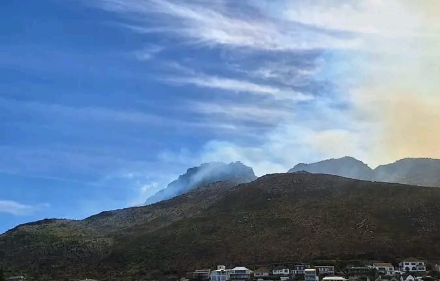 Coastline Seafood Tour – Cape Town