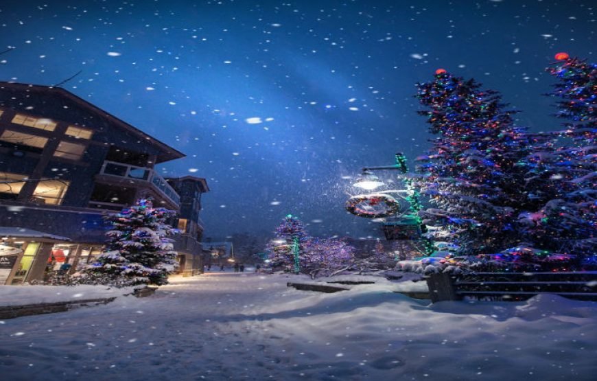 Vancouver to Whistler Tour Private