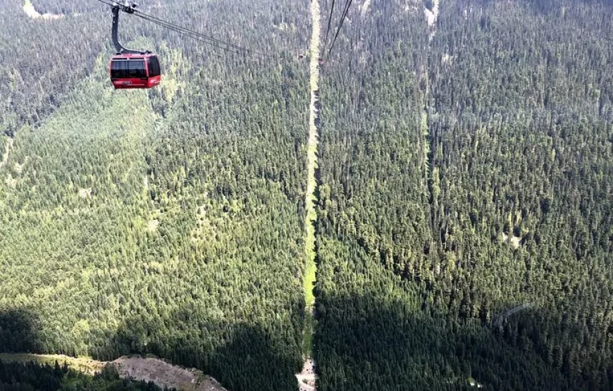 Vancouver to Whistler Tour Private