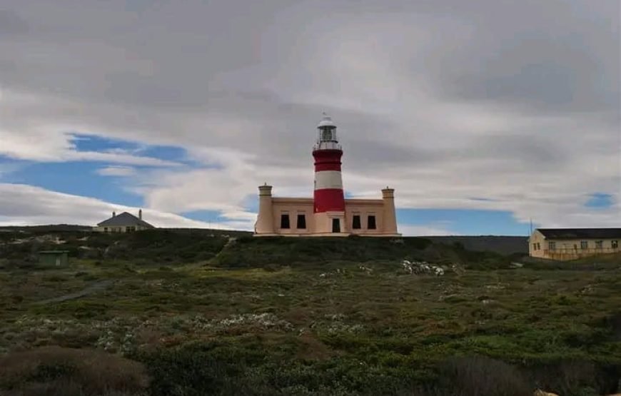 Cape Peninsula Tour – Cape Town
