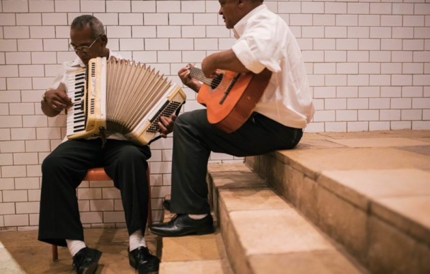 Cape Winelands – Amazing Wine Tasting in Cape Town