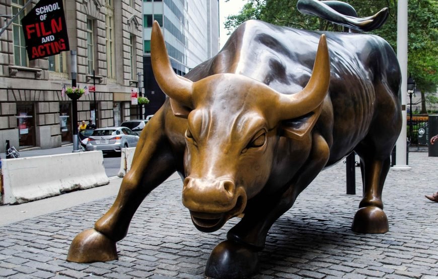 How Money was made: Wall Street Walking Tour in English