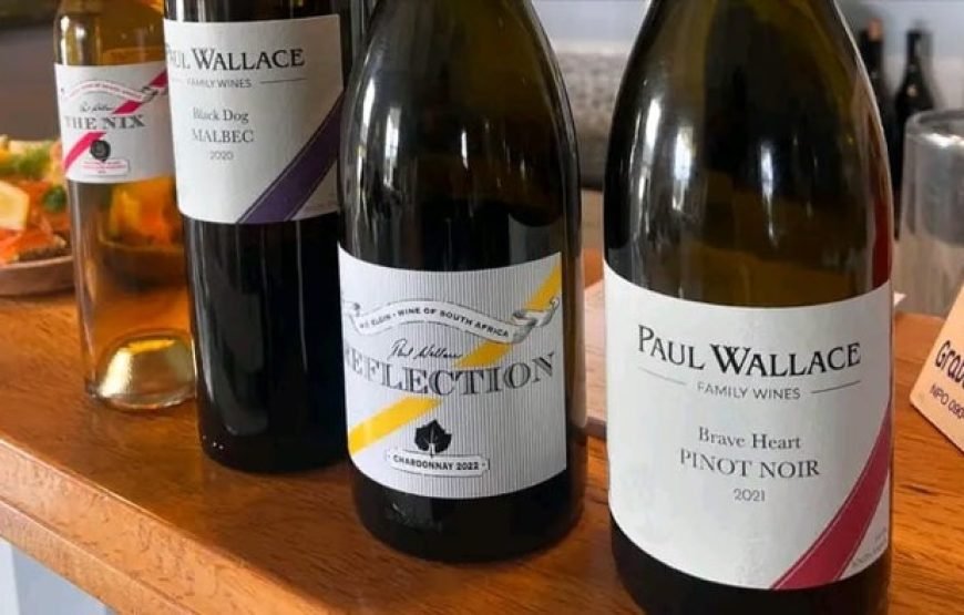 Cape Winelands – Amazing Wine Tasting in Cape Town