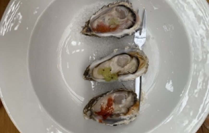 Cape Winelands – Amazing Wine Tasting in Cape Town