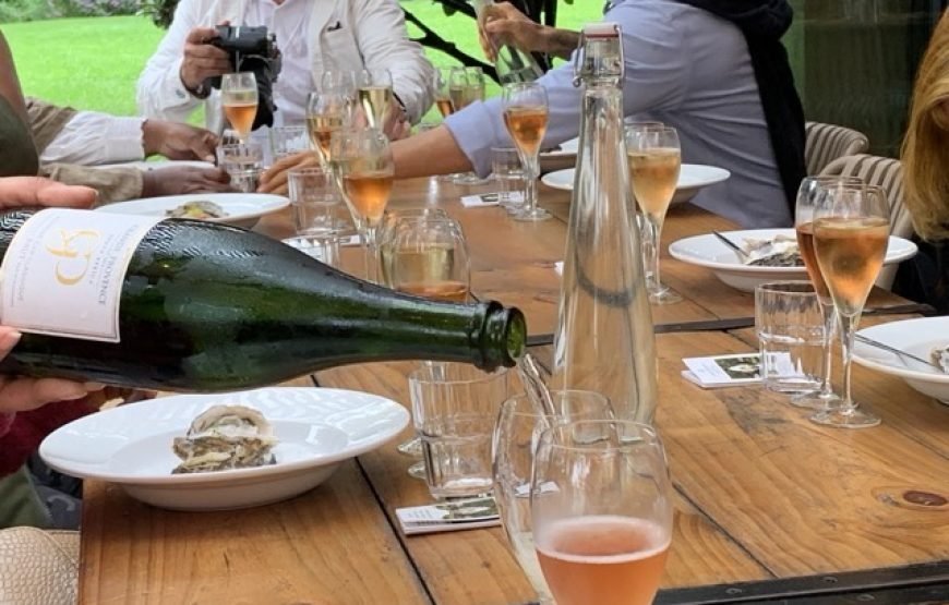 Cape Winelands – Amazing Wine Tasting in Cape Town